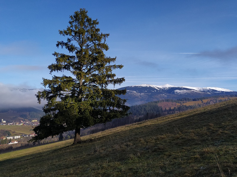 22.jpg - Dnes som mal mimoriadne vydarený deň. Veď posúďte: celou cestou z Turčianskych Teplíc až do Závadky nad Hronom 605m hmla a totálne zamračené. Zo Závadky do Heľpy 670m je to cca 3 km a privítala ma modrá obloha a slniečko. Tak mi to vydržalo až do konca pobytu v tomto kraji. Na obrázku, na obzore od pravej strany Kráľová hoľa 1.946m, vedľa nej špicatá Orlová 1.840ma ďalej takner plochá Bartková 1.790m. Vľavo dole je západná časť mesta Heľpa. Obrázky aj text Števo Hudák, majster turistiky.